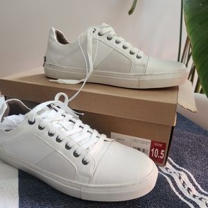 New Steve Madden low top sneaker